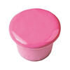 Millenium Colorworks- Pink PussyCat - 30ml